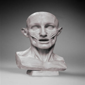 Buste d’un Écorché d’après Jean-Antoine Houdon